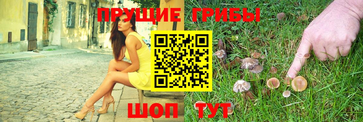 Псилоцибиновые грибы MAGIC MUSHROOMS  Вход с VPN  Смоленск 