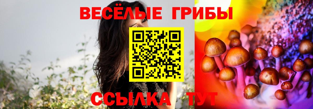Галлюциногенные грибы мицелий Смоленск